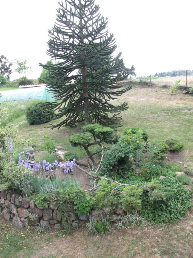 Bed and Breakfast Chez Sophie Et Gilles Monistrol-sur-Loire Экстерьер фото